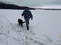 Потерявшегося ставропольца нашли в Липецкой области