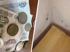 Всего за 8 миллионов рублей чиновники решили отремонтировать 2 многоквартирных дома для сирот в Новопавловске 