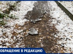«Сплошь ямы и разрушенный асфальт» — жители Железноводска пожаловались на разрушенную пешеходную дорожку
