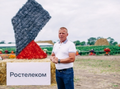 «Ростелеком» оцифровал бахчу «Пономарево»