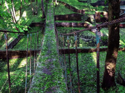 Таманскую лесную дачу в Ставрополе должны очистить от хлама после проверки