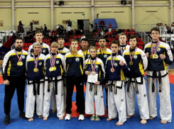 Золотой спарринг, бронзовый «туль»: ставропольские тхэквондисты собрали богатый урожай в Тамбове