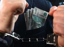 На Ставрополье гендиректор торговой фирмы недоплатил 180 миллионов рублей налогов