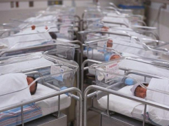 На Ставрополье снижается рождаемость