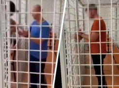 Фигуранты дела об ущербе почве Ставрополья на 48 миллиардов просят второй шанс через суд