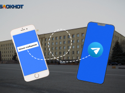 «Нет никаких специальных решений»: ставропольские чиновники рассказали о своей судьбе в Telegram