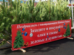Стали известны адреса елочных базаров в Ставрополе в 2023-2024 годах