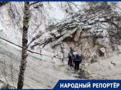 Вырубка деревьев на юге Ставрополя вызвала беспокойство у местных жителей