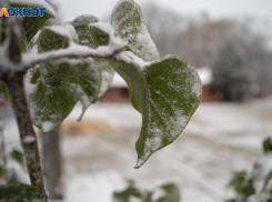 Майские выходные начнутся с заморозков на Ставрополье