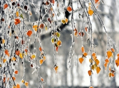 Похолодание после выходных придёт на Ставрополье