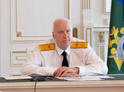 Александр Бастрыкин взял на контроль уголовное дело о нападении собак на подростка на Ставрополье