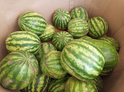 Лакомство для богачей: ставропольцев шокировала стоимость арбузов и дынь