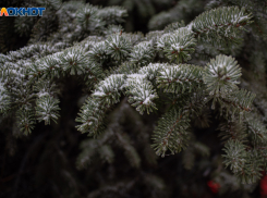 До 17 апреля продлятся ночные заморозки на Ставрополье