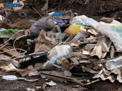 Удар по экологии Ставрополя на 6,5 миллиона рублей нанесла незаконная свалка