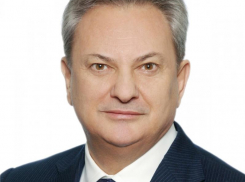 Еще один депутат думы Ставропольского края получил медаль за развитие законодательства 