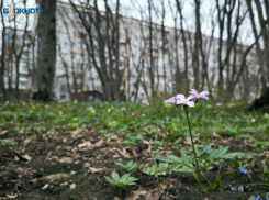 Опубликовали график магнитных бурь для Ставрополья на январь 2025 года
