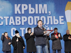 Депутат краевой Думы призвал ставропольцев прийти на митинг в честь присоединения Крыма