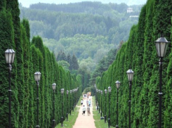 Для управления Кисловодском создадут отдельное ведомство