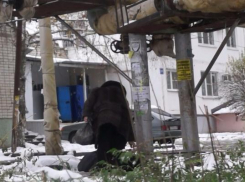 Спящему бомжу с деньгами в карманах помогли жители Ставрополя