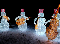 Снеговики-музыканты, Пегас и сказочные олени украсят улицы Ставрополя