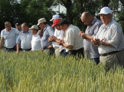 На Ставрополье проверяют поля перед жатвой на пожароопасность