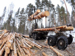 Суд запретил строительство медицинского центра в лесопарке Пятигорска