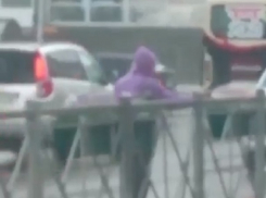 «Это Кисловодск, детка»: работник поливал городские клумбы в ливень и попал на видео 