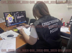 На Ставрополье мужчину заподозрили в пропаганде АУЕ* 