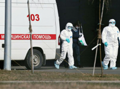 Динамика коронавируса на Ставрополье