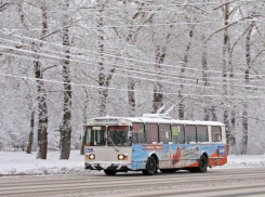 Почти 200 млн рублей выделят на спасение троллейбусного предприятия Ставрополя