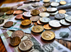 Работники предприятия в Ипатово не получали зарплату больше года 