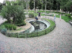 Ребенок упал в пруд в сквере «Приозерный» в Ессентуках