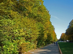 Ветер с порывами до 19 метров и +27 ожидают ставропольчан в четверг