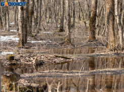 Ливень и град могут снова ударить по Ставрополью 27 апреля 