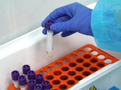 Рубеж в три тысячи заболевших пройден на Ставрополье