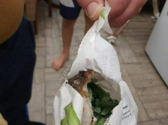 Житель Ставрополя нашел в упаковке с фасолью замороженную мышь 