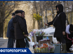 Останавливали машины и сметали цветы с прилавков для прекрасных дам ставропольские мужчины