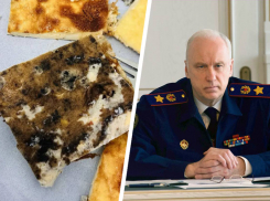 Жалобы на питание и состояние здания в детсаду под Ставрополем дошли до Бастрыкина 