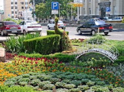 Жители Ставрополя смогут благоустроить и озеленить город