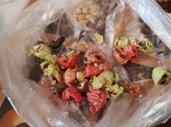 Хитроумные курьеры пытались передать в тюрьму наркотики в карамельках на Ставрополье