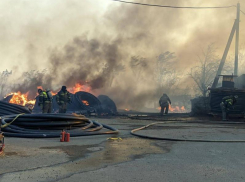 68 газовых баллонов унесли: стали известны новые подробности о пожаре на 5 гектаров в Ставрополе