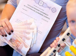 Лицензии на аборт, запреты для чиновников и упрощение выдачи маткапитала: как изменится жизнь ставропольчан в декабре