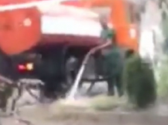 Поливающий под дождем клумбы мужчина рассмешил ставропольчан 