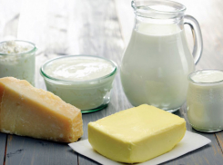 Новый молокозавод появится в 2016 году на Ставрополье