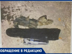 «Бытовому «терроризму» не место в многоквартирных домах», - ставропольчане о ситуации в подъезде