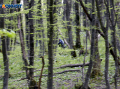 Погода в Ставрополе 1 апреля: природа тоже решила пошутить