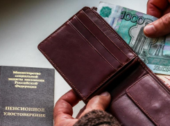 Как ставропольцам получить соцподдержку во время самоизоляции?
