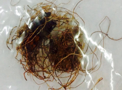 В Светлограде водопровод местной жительницы атаковали водоросли