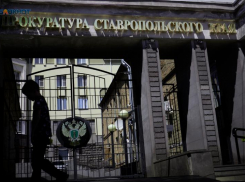 Директор детского сада выплачивала отсутствующей на работе дочери солидные премии на Ставрополье