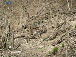 Очередное землетрясение магнитудой 3,4 произошло вблизи городов КМВ на Ставрополье